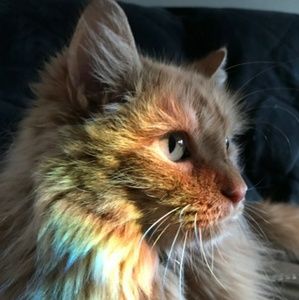 I am pet friendly! And smoke free!